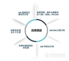 本土品牌MALDI-TOF质谱获医疗器械证，网络技术开发助力精准医疗新突破